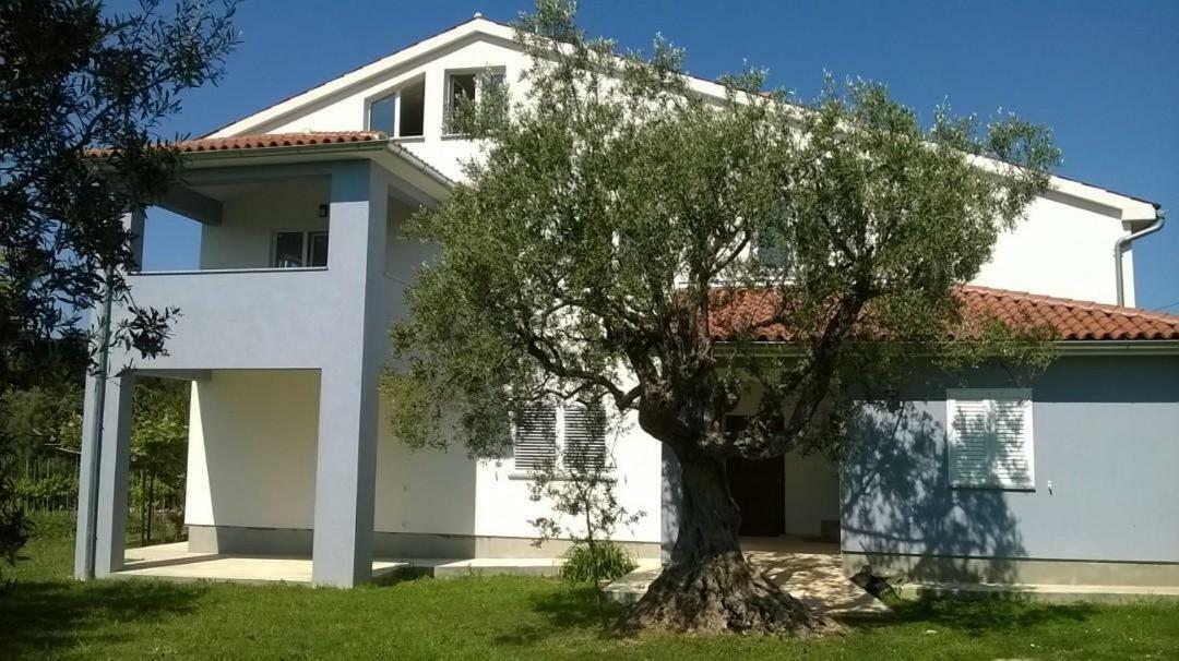 Apartments Villa Ulivo - Apartment Sol Fazana Ngoại thất bức ảnh
